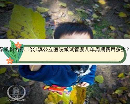 桂林代孕机构名称|哈尔滨公立医院做试管婴儿单周期费用多少？_Vp5OD